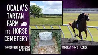 Ocala's Historic Tartan Farm And Its Horse Cemetery: A Take 5 for Florida History 14
