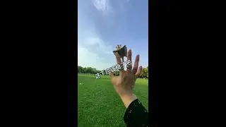 I Will Catch Your #Rotating Hands #Sugar Glider Training #Pets