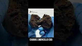 Charas Limoncello CBD #cbd  #cbdfrance #cbdlife #cbdpremium #weedlegal