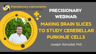 Precisionary Webinar: Joseph Ransdell on 