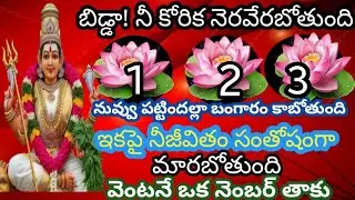 బిడ్డా! నువ్వు కోరుకున్న కోరిక నెరవేర బోతుంది వీటిలో ఒక నెంబర్ తాకు