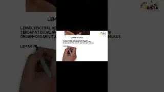 Mengenal lemak visceral