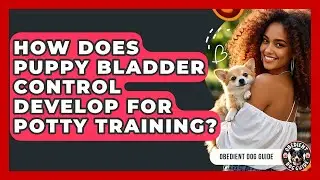 How Does Puppy Bladder Control Develop For Potty Training? - Obedient Dog Guide