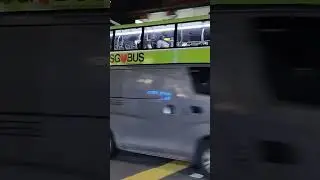 #SGbus #SingaiBus #Singaporevlog #SingaiVlogs