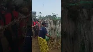 culture and traditions is the Bakweri mans Identity 👿🐘