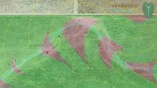 Keyline design on vineyards