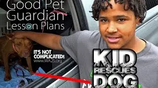 RAW - Kids Rescue Momma Dog on Detroit Pit Crew Dog Rescue Ride Along