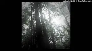 VeucroX - ThisIsWhyIHxtePeople!++ (Prod. Mystxry)