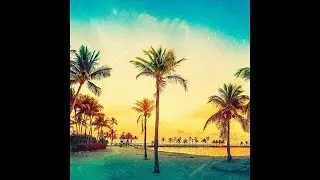 SWISH ● Lo-FI, 1980s, Nostalgia, Retrowave, Slowly | MusKit