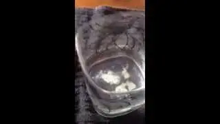 Freedom WV water contamination residue on dishes
