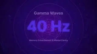 Why 40 Hz Gamma Waves Are Linked to Stronger Memory, Focus, and Cognitive Clarity