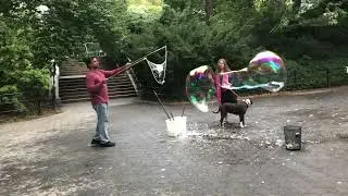 CENTRAL PARK ~ A GIANT CONDOM? | David Benatar Philosophy