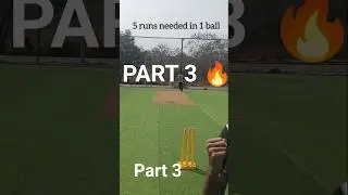 BROTHERVS BROTHER🔥Wait for the last ball 🏏 #youtubeshorts#cricket #brothervsbrother #viral#trending