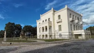 Δάσος Συγγρού, Ιανουάριος 2026