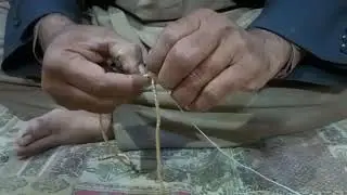 Arabic Hunting Trap Secrets: How to Catch Pigeons & Paragon Falcons Fast!