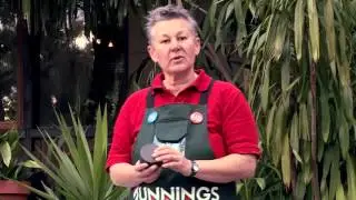 How To Prepare Your Home For A Bushfire - DIY At Bunnings