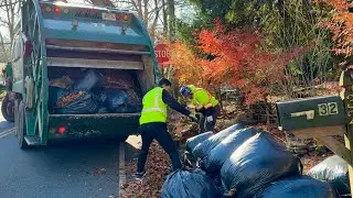 Fast Garbage Truck vs Massive Leaf Bag Piles | Jody Enterprises 