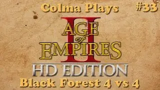 Age of Empires 2 - Game 33 - Black Forest 4vs4