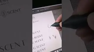 botanical logo design process for a premium and eco candle brand.
