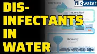 Disinfectants In Water