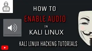 How Enable audio in Kali Linux (Pulseaudio - D)