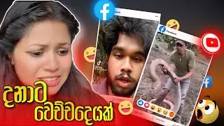 🤣 දානගේ අතල් Reaction එක! | Habibi Reacts to Danage Athal 😂