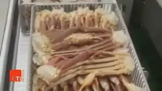 Automated 3 in 1 Cooking/Chilling/ Freezing Crab Factory On Board