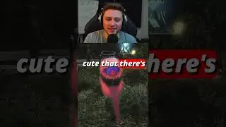 Does FFXIV have an endless supply of amazing mounts?