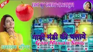 Aslam Singer //driver Mewati Song //Mewati song 2024