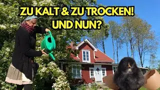 Selbstversorger-Hofleben in Schweden - Küken, Kälte & Kartoffeln