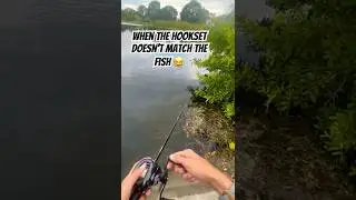 #fish #fishing #fishingvideo #fishinglife #bass #bassfishing #freshwaterfish #shorts #fyp #funny