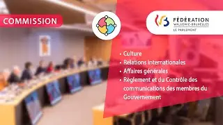 Commission de la Culture du 13/01/2026 &agrave; 10h00