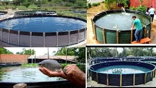 TANQUE DE PEIXE  PORQUE SE TORNA CARO ¹