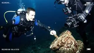 T&igrave;m Thấy Xe Tăng Sherman WWII Ch&igrave;m Dưới Đ&aacute;y Biển Sau 80 Năm&hellip; V&agrave; Điều Kỳ Lạ Xảy Ra!