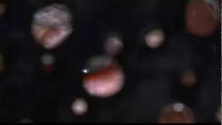 Il confessionale.flv