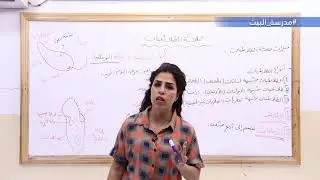 الصف السابع    علم الأحياء    الوحدة2مملكة الطلائعيات