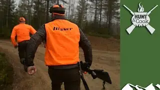 Szybkie polowanie na łosie