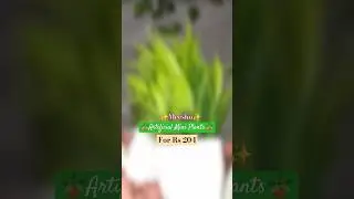 Only for Rs 204 😳 #shorts #youtubeshorts #youtubeshort #youtubefeed #shortsfeed #trendingshorts