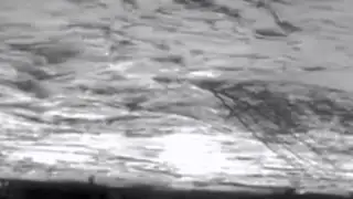 Deep Carbon Observatory Trailer