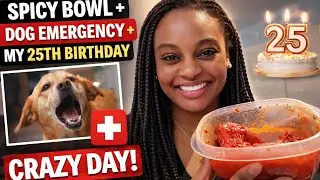 SPICY BOWL & DOG DRAMA | REAL LIFE MOMENTS