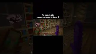 To uczucie gdy zapomnisz oświetlić domu 💀 #viral #minecraft #viralvideo #memes #mc