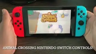 Animal Crossing: New Horizon Controls