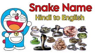 20 सांपों के नाम Learn Snakes Names in English | Wildlife Educational Video