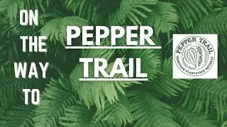 #keralatourism #peppertrailresort #thamarasserychuram  #sulthanbathery   On The Way To Pepper Trail