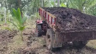 #cowdungcompost #farming #coconutfarm #compost #coconuttree #viral #naturalfarming #tractor #mango