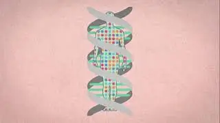 Coodex | Soy El Adn Del Ed&eacute;n (Mastered)