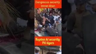 uff itni dangrous security kaptan  imran khan  ki pti tigers is love with imran khan@pti528