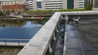 Seagull Deterrence & Proofing on Roof Top
