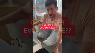 PREVENT LITTER TRACKING: 4 Easy Hacks