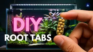 How to Make DIY Root Tabs for Your Planted Aquarium ✅ Boost YOUR Plant Growth FAST at Home!